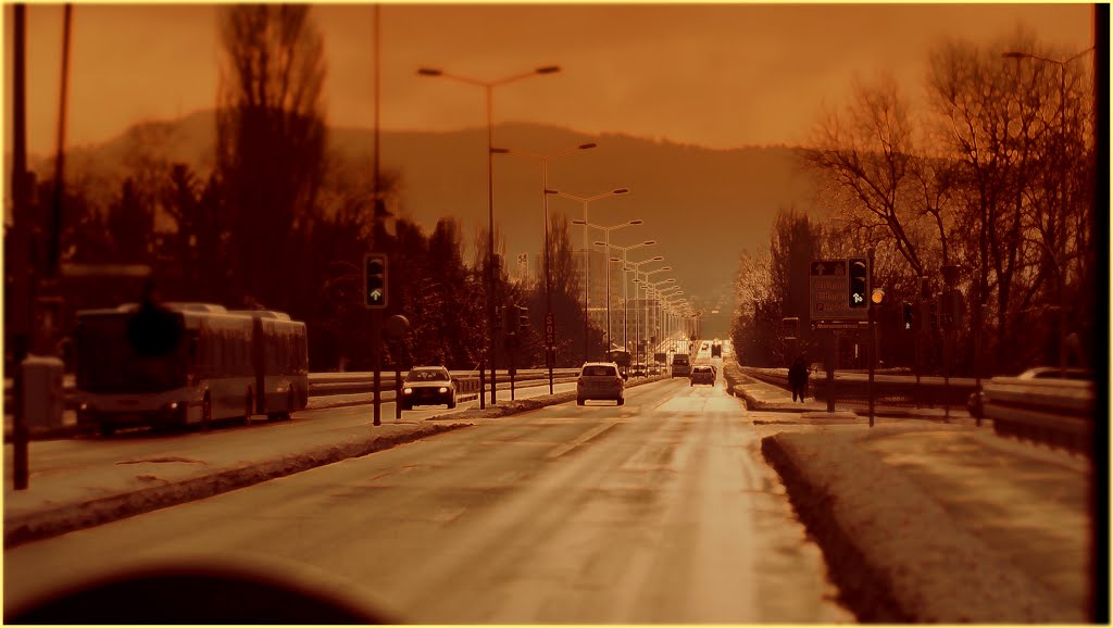 On the road 18.1.2013 tiltshift by schilf