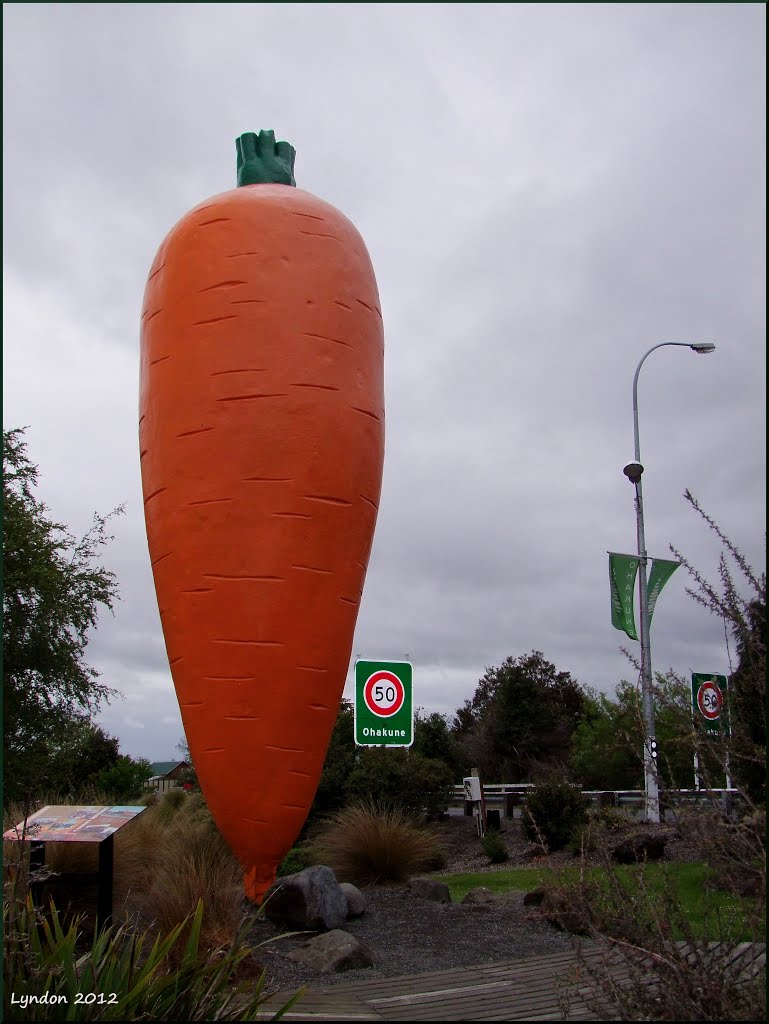 Welcome To Ohakune by Lyndon