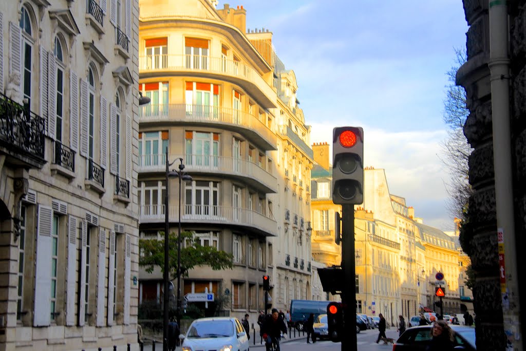 Rue de Fleurus, 6eme Arr., Paris, France by MICHAEL  JIROCH  &  www.michaeljiroch.com