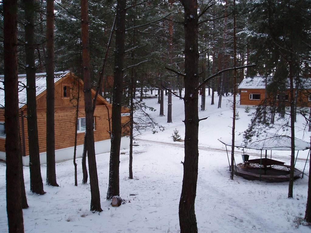 Pechorsky District, Pskov Oblast, Russia by Wolfik