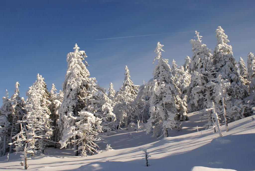 Auf dem winterlichen Heinrich-Heine-Weg zum Brocken (Harz) by Altmeister