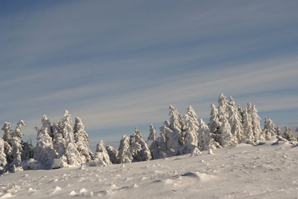 Auf dem winterlichen Heinrich-Heine-Weg zum Brocken (Harz) by Altmeister