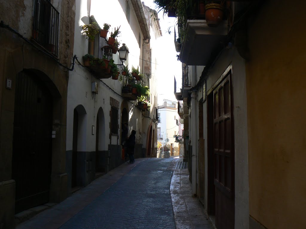 Ascó, Tarragona, España by luisde