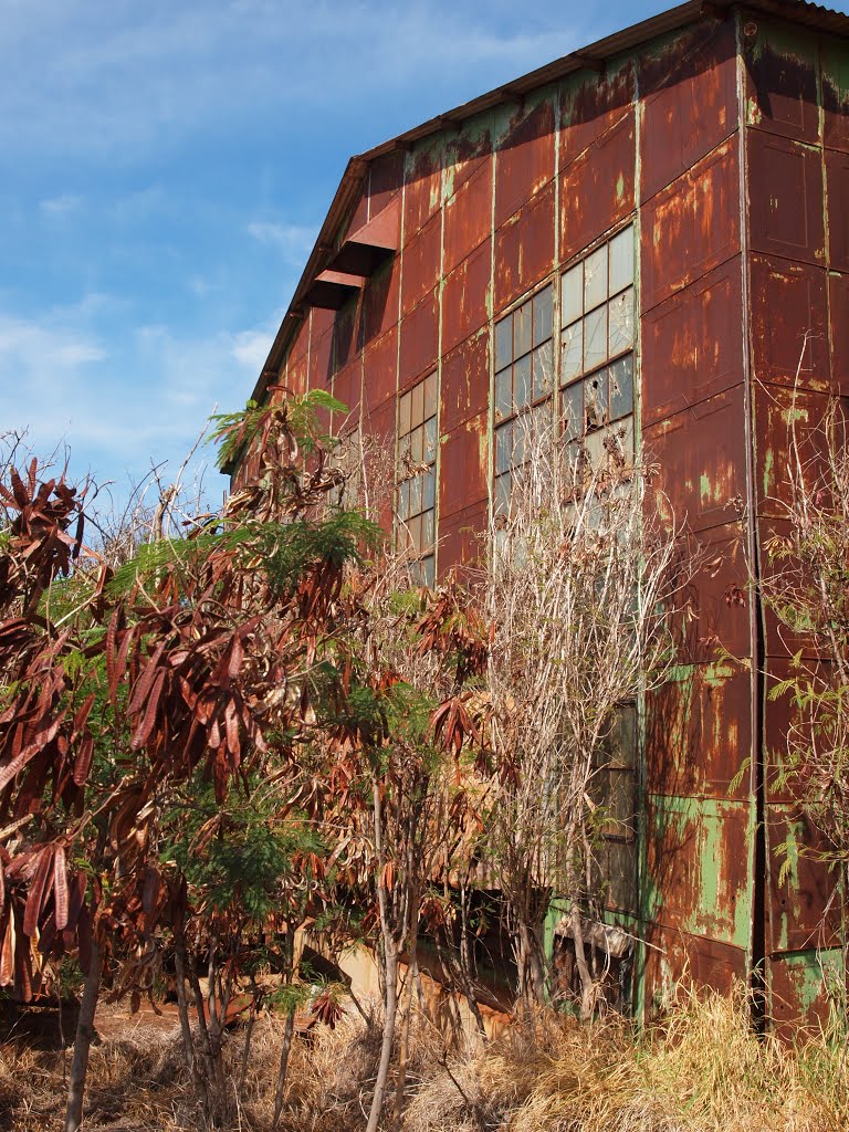 Plantation Bldg by James W Moore