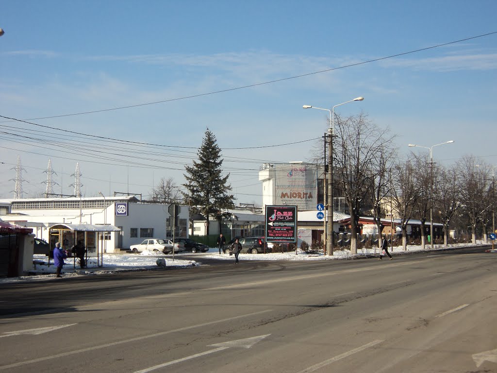 Service Auto - la iesirea din oras, catre Brasov ... by manolescu_ioan