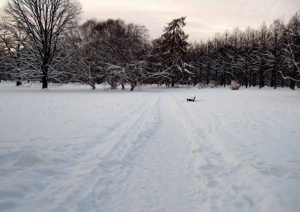 Winter in Herrenhausen by basti1962