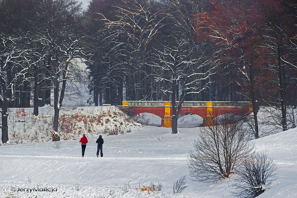 Park Mużakowski by Jerzy Malicki