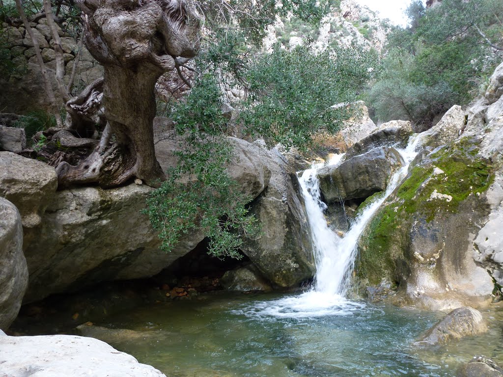 Cascada en el Barranco de Biniaraix by txema-122