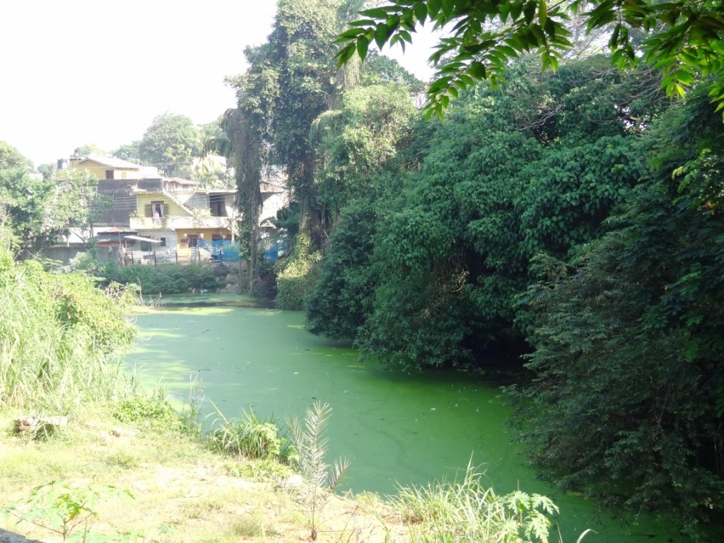 National Zoological Gardens, Dehiwala by jmsbandara