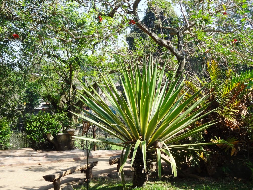 National Zoological Gardens, Dehiwala by jmsbandara