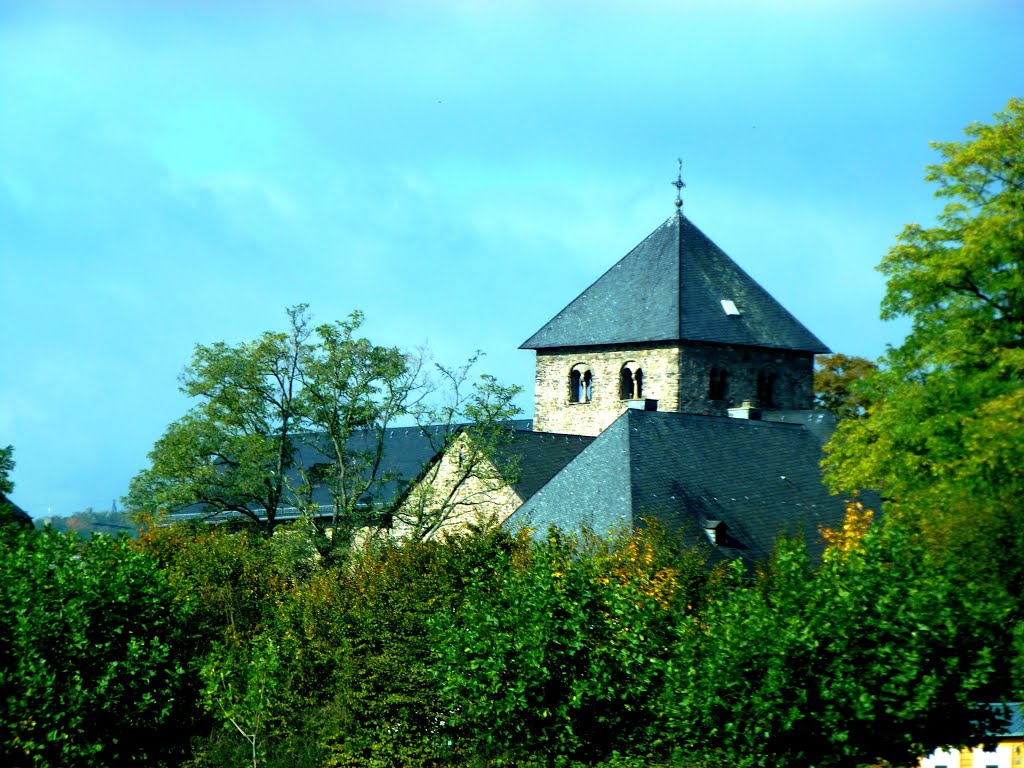 Oestrich-Mittelrhein - Basilika Sankt Ägidius von der Rheinfähre aus gesehen by padrei