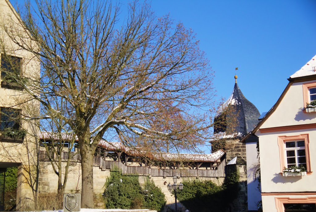 Kronach, alte Stadtmauer mit Hexenturm - ** Kronach, old city walls with Hexenturm by bayernengel ( i ♥ panoramio - no views)