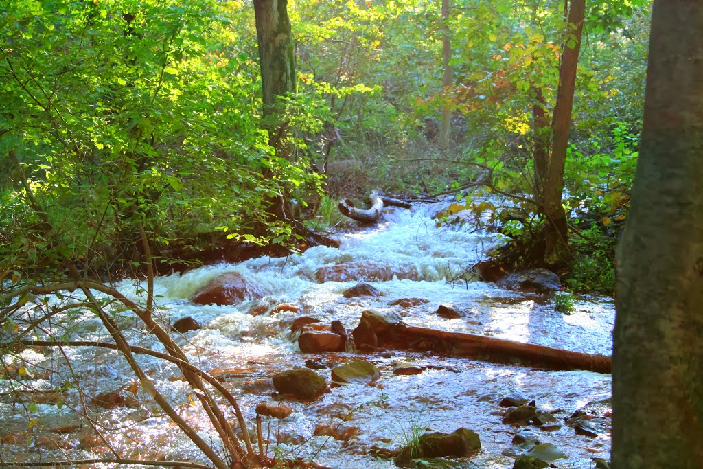 The over flow from Lake Welch Dam. by persaud