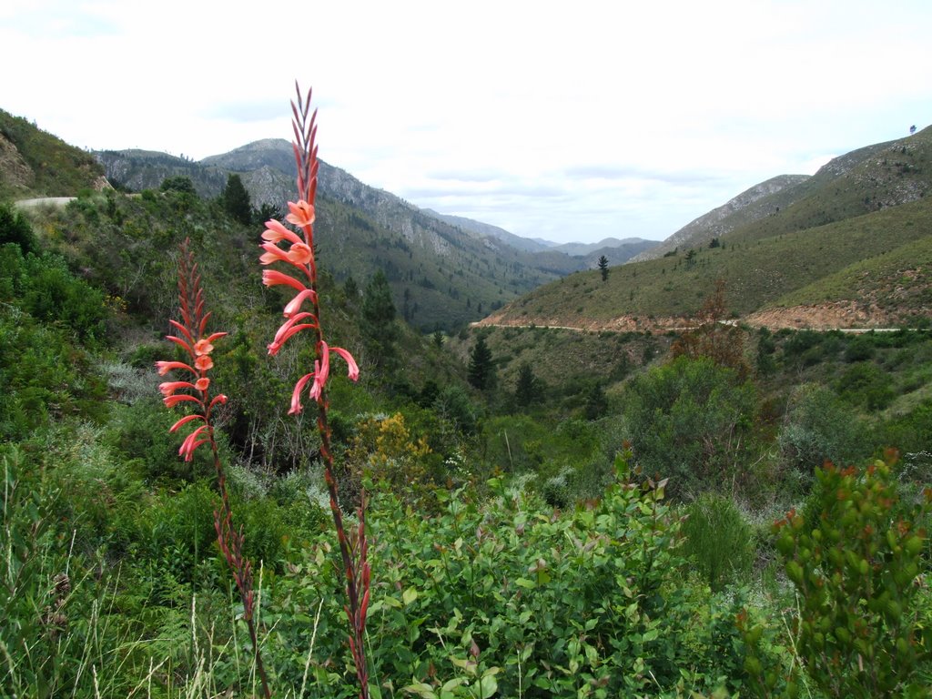 Prince Alfred Pass #2 by Allan Manley