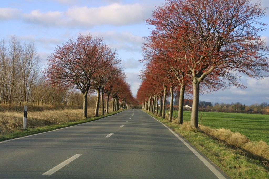 Landstraße bei Landkirchen by jenes