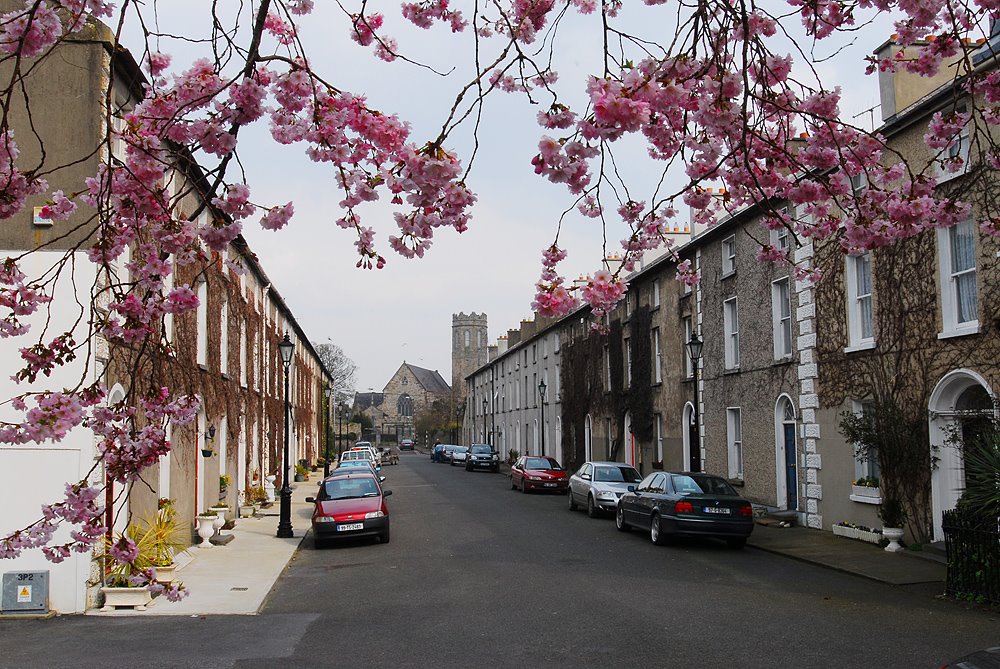 Clonmel Town.Tipperary.Ireland by qifeloyi