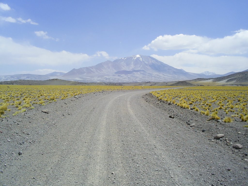 Paso de San Francisco, Tinogasta, Catamarca, Argentina. by Claudio Olivera