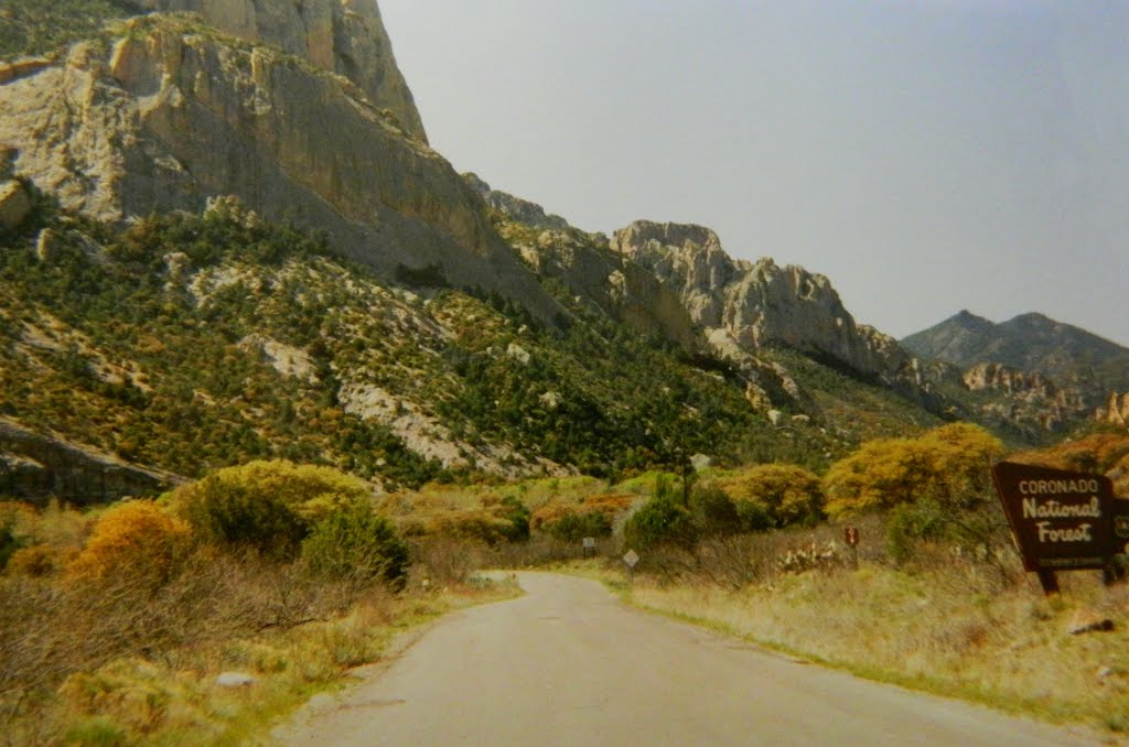 Chiricahua Mts, Cave Ck Canyon, near Portal, AZ, apr 6, 1993. by Tom Dudones