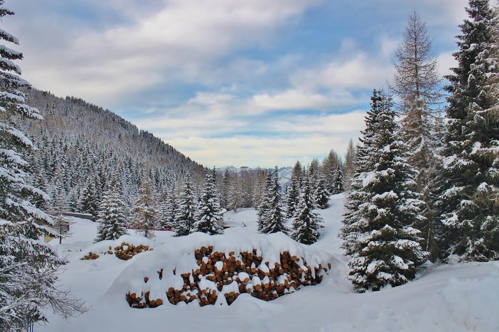 Evviva la neve by = Cinzia Anzalone =