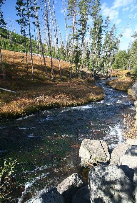 Near Virginia Cascade (Virginia Meadows) by Frank Merfort