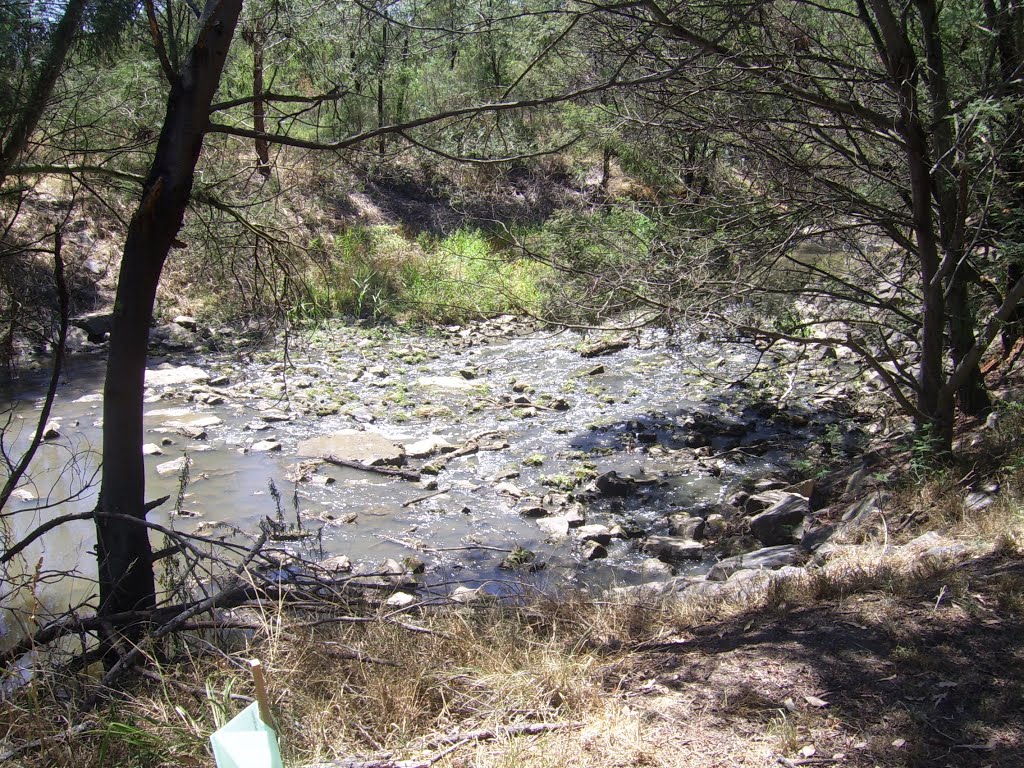 Dandenong Creek by VICPhotoSurvey