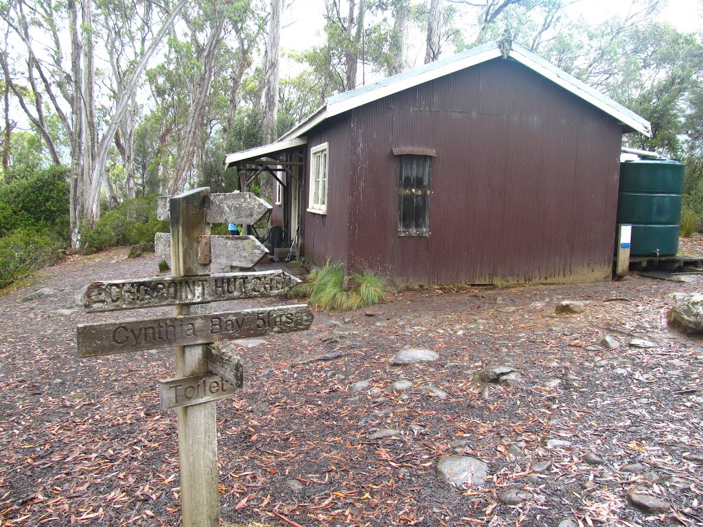 Narcissus Hut by Lucas Chamberlain