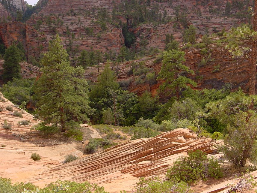 Zion NP, by Banja-Frans Mulder