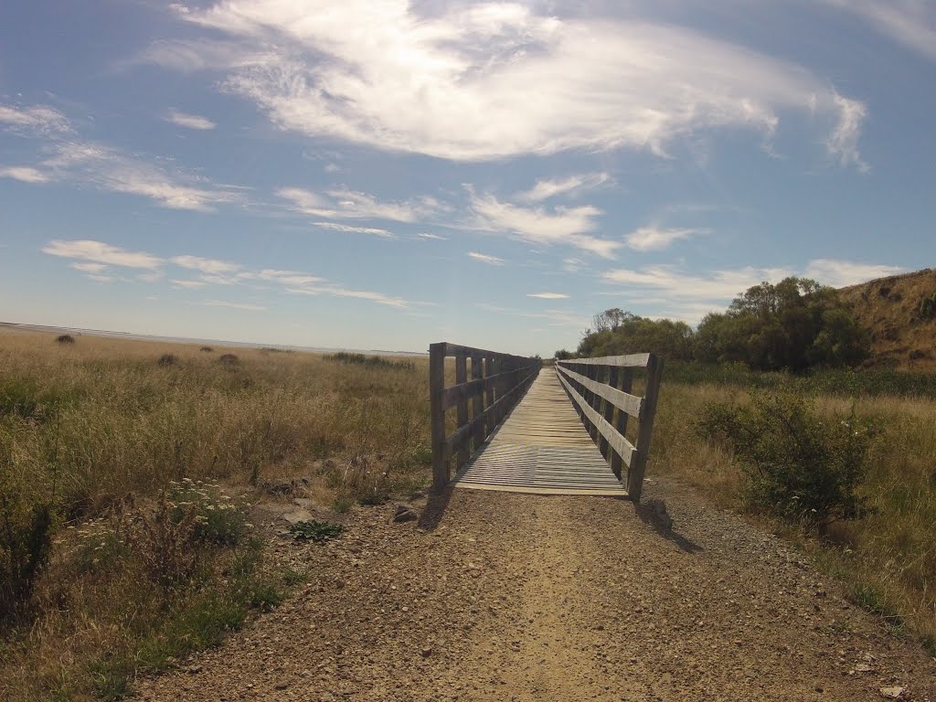 Rail Trail Track by Steve Busson