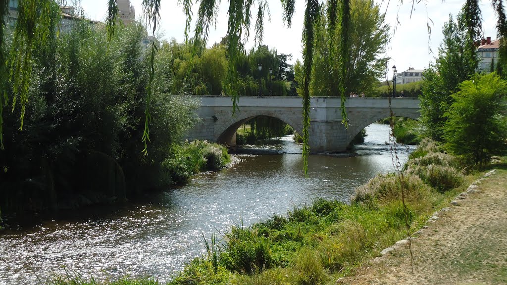 Ponte sobre o Rio Arlanzón - Camino de Santiago by Sergio Luiz Zampieri