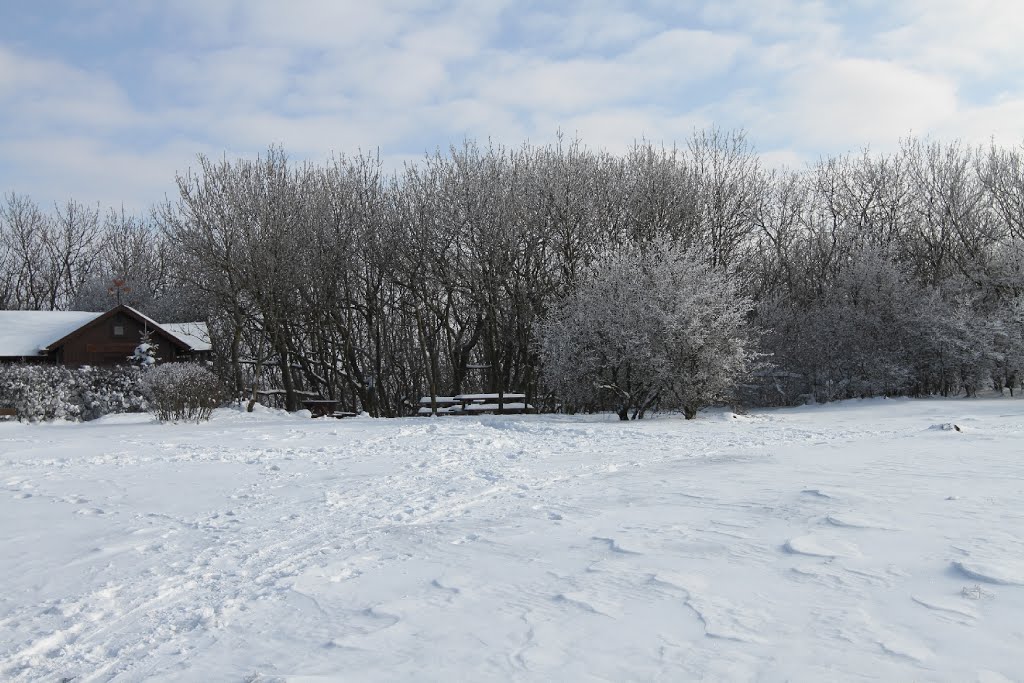 Hundsheimer Berg, Hundsheimer Hütte by považan sk