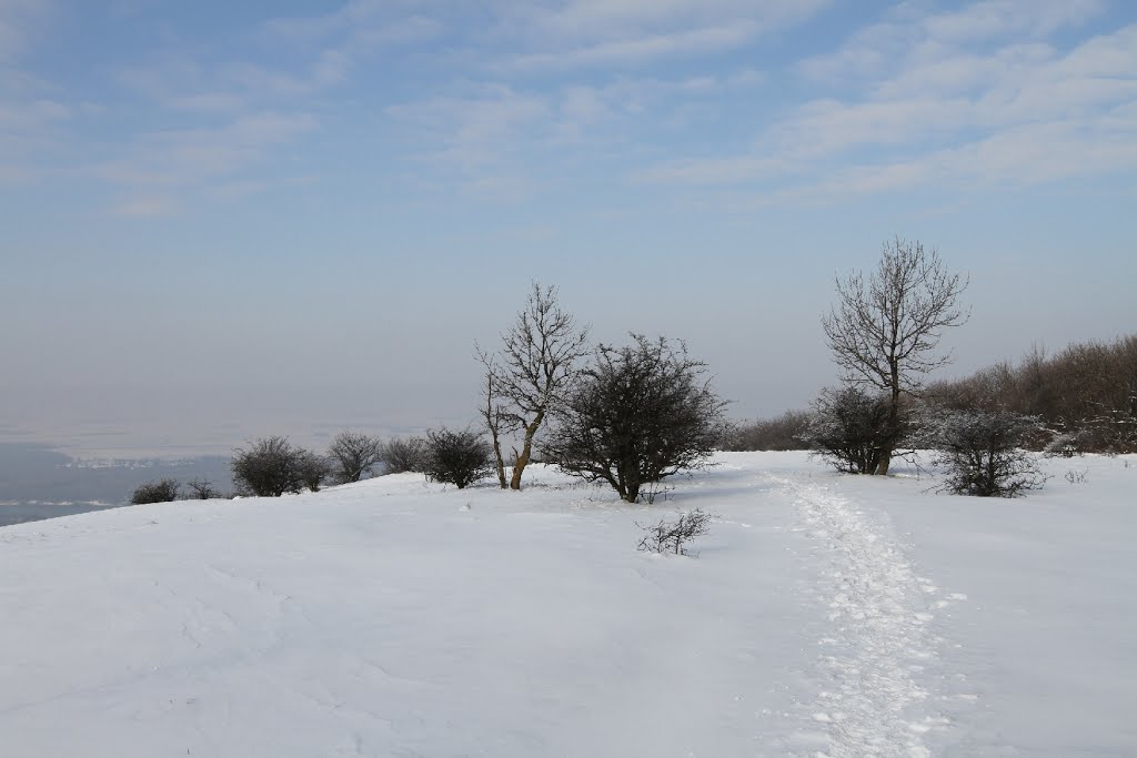 Hundsheimer Berg, Bergpfad by považan sk