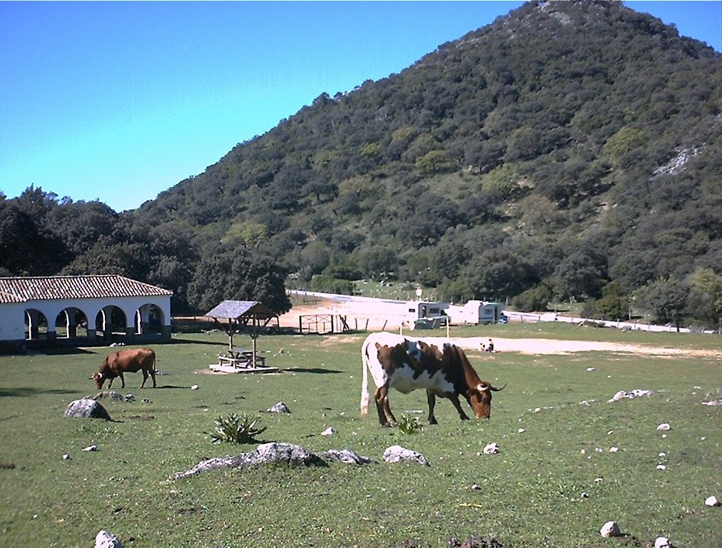 Near Benamahoma by europeancyclist