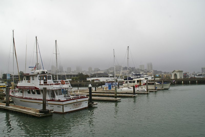 San Francisco, pier 39 by Rumiana Koynova-Tenchova