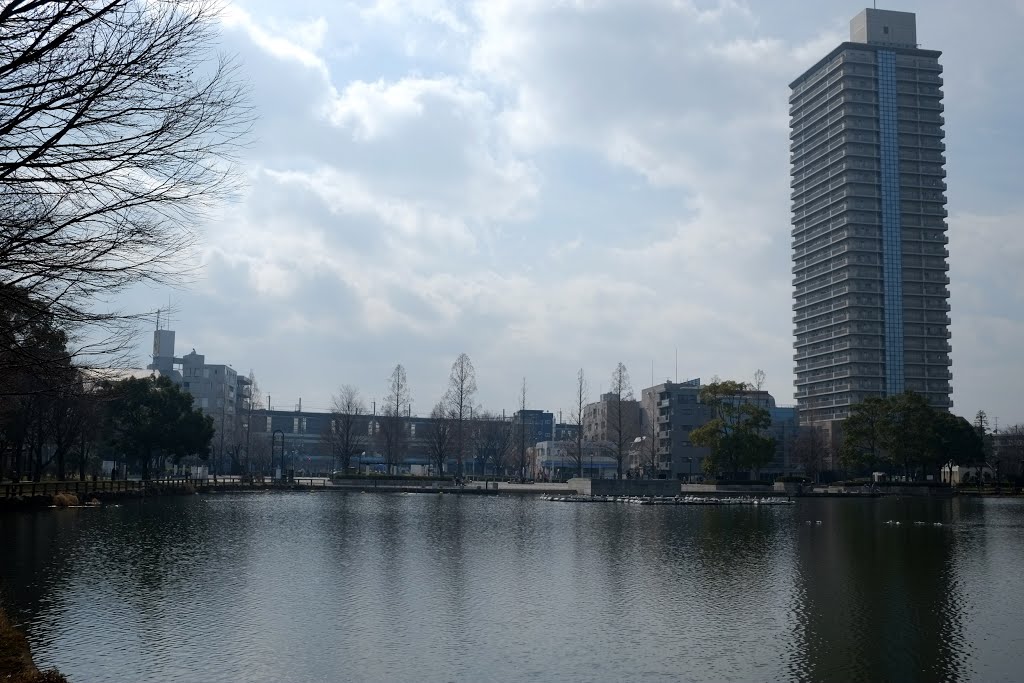 浮間公園 by kus_mk2