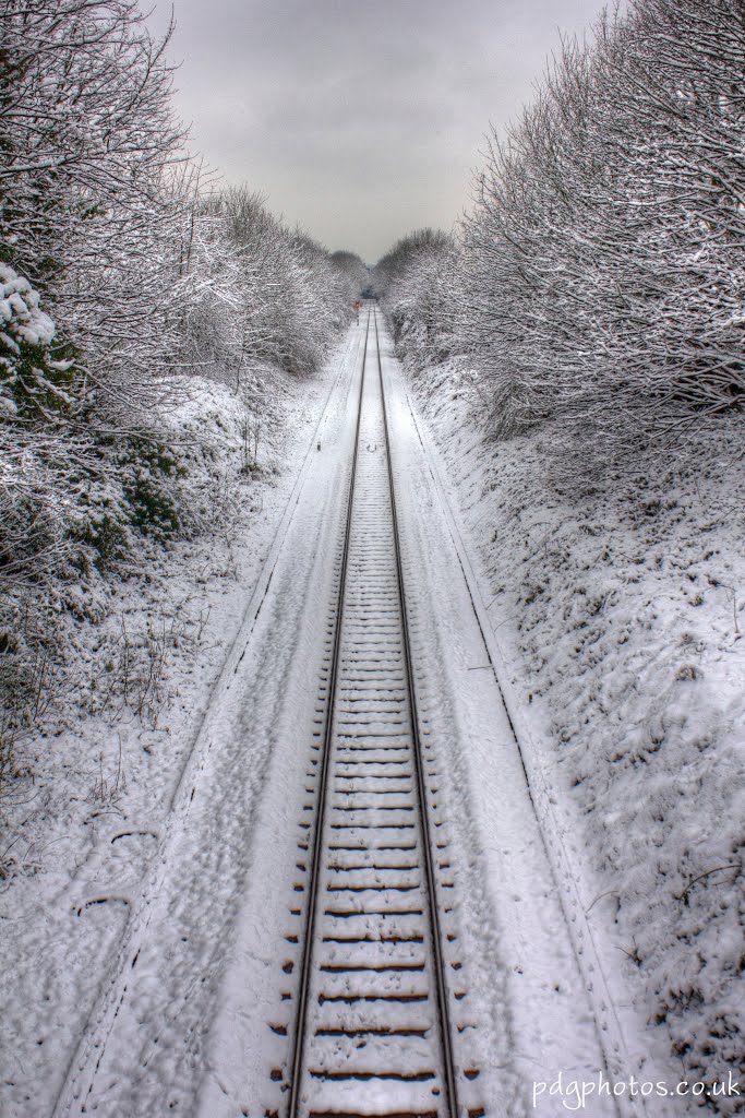 Snowy Tracks by pdgphotos