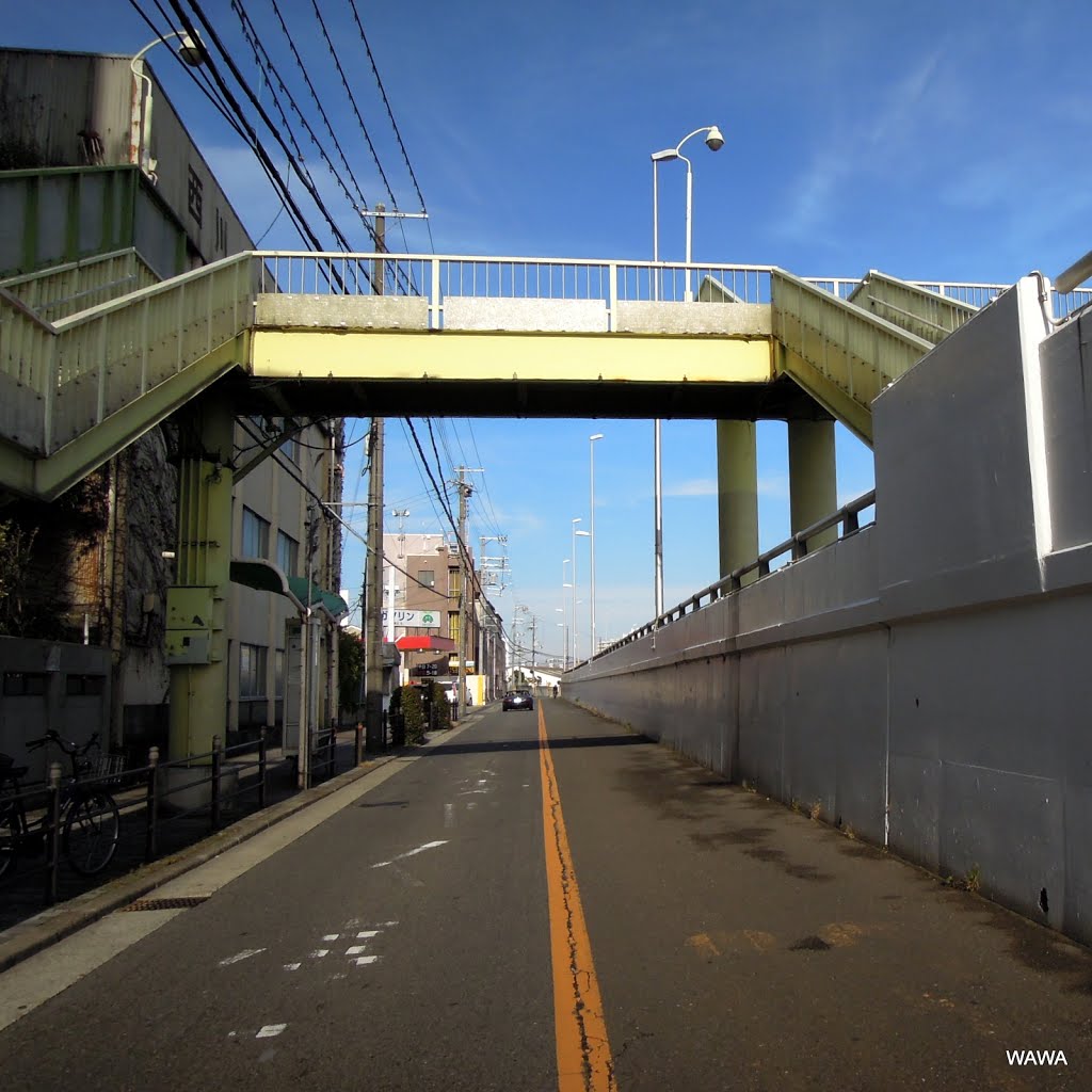 Yodogawa-dori, Osaka ／ 淀川通りの側道 by mandegan