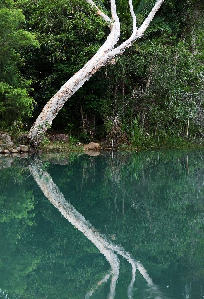 Upper Stony Creek by Wigz