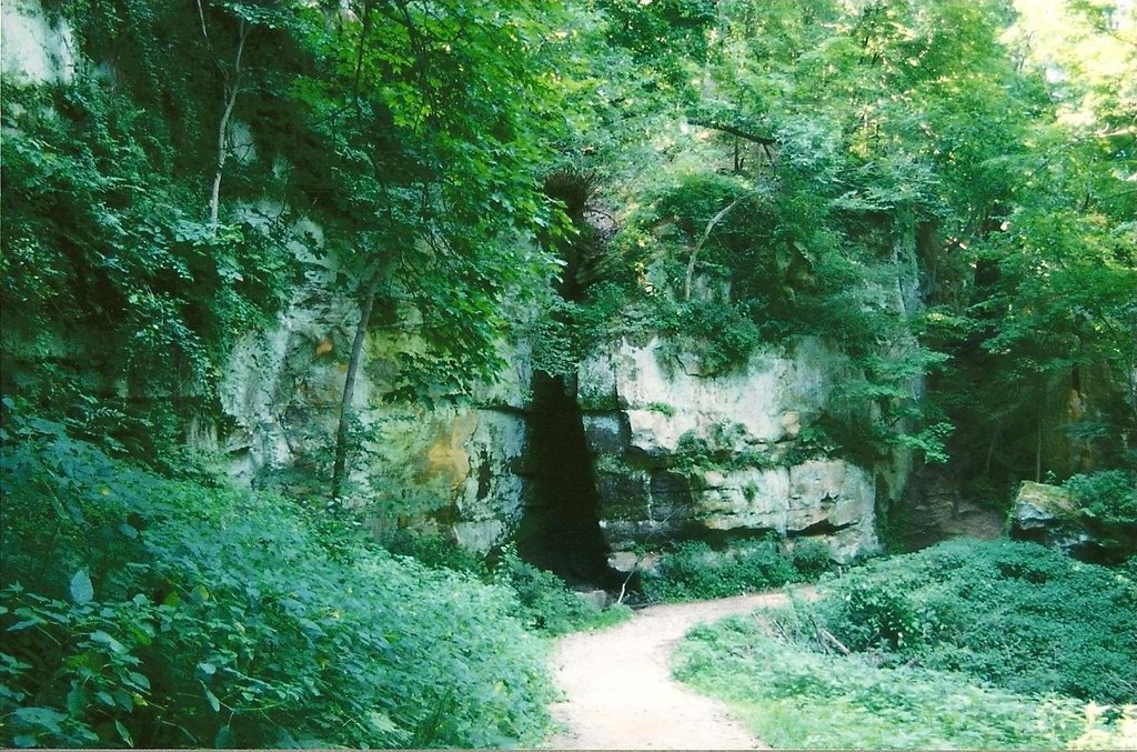 Wildcat Den State Park by Blake of the Bluffs