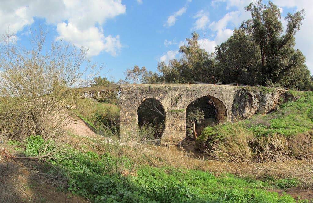 Nahal Harod, Al Qantara Bridge near Beit Shean , Israel by Kobi Zilberstein