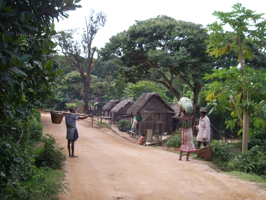 Sur la piste vers Nahampoana by Alain VILLEVIEILLE