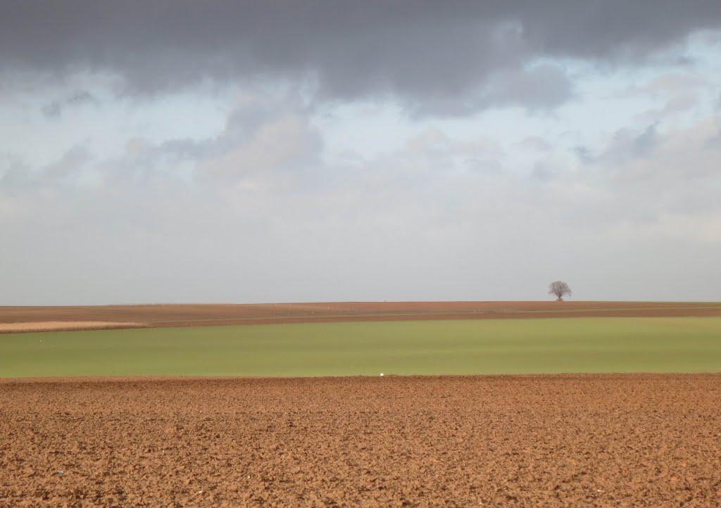 Landschap Racour by Geert Budenaerts