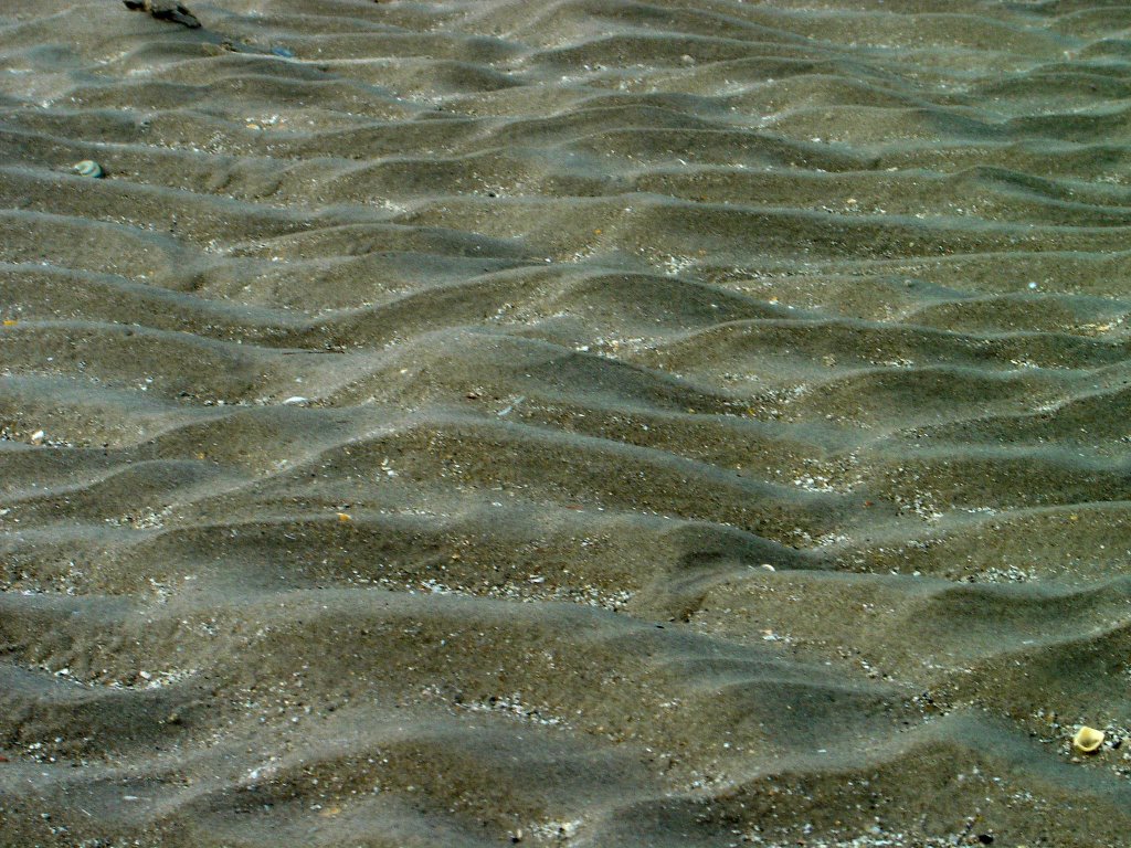 Nature art on the beach 2 by Lecleire Jacques