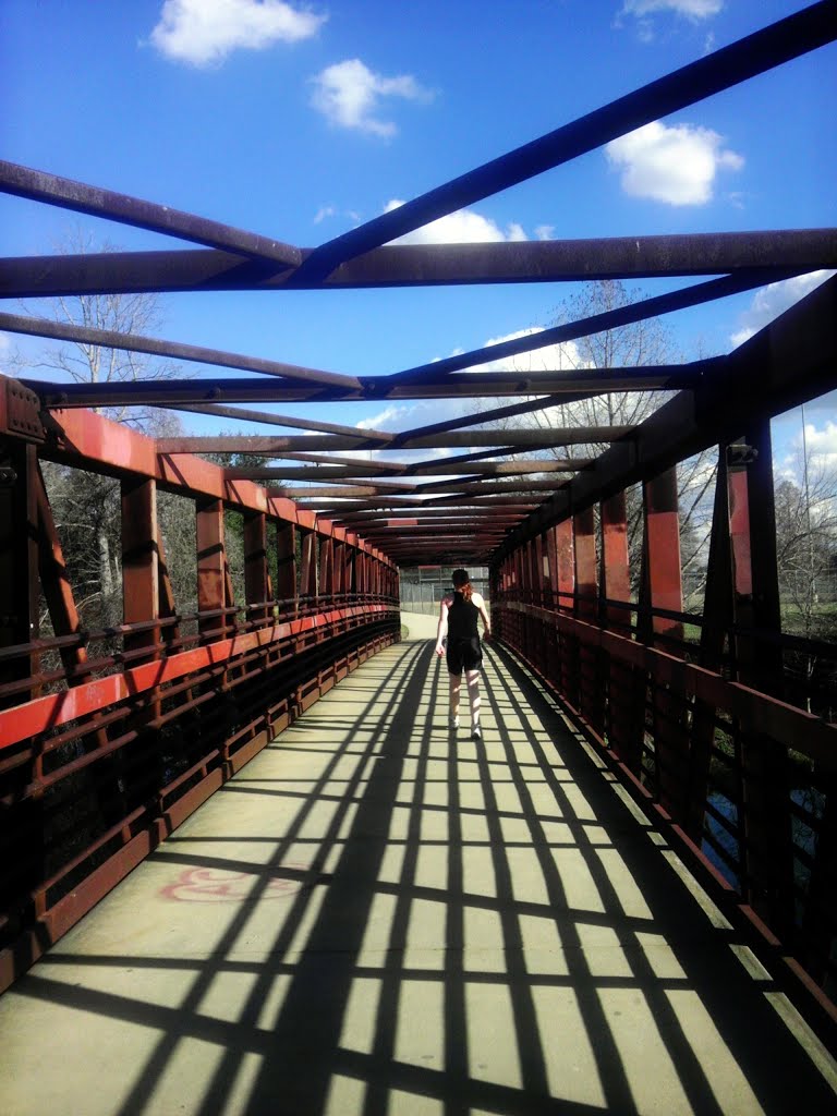 Ladybird Lake Bridge by RememberTheAdamo