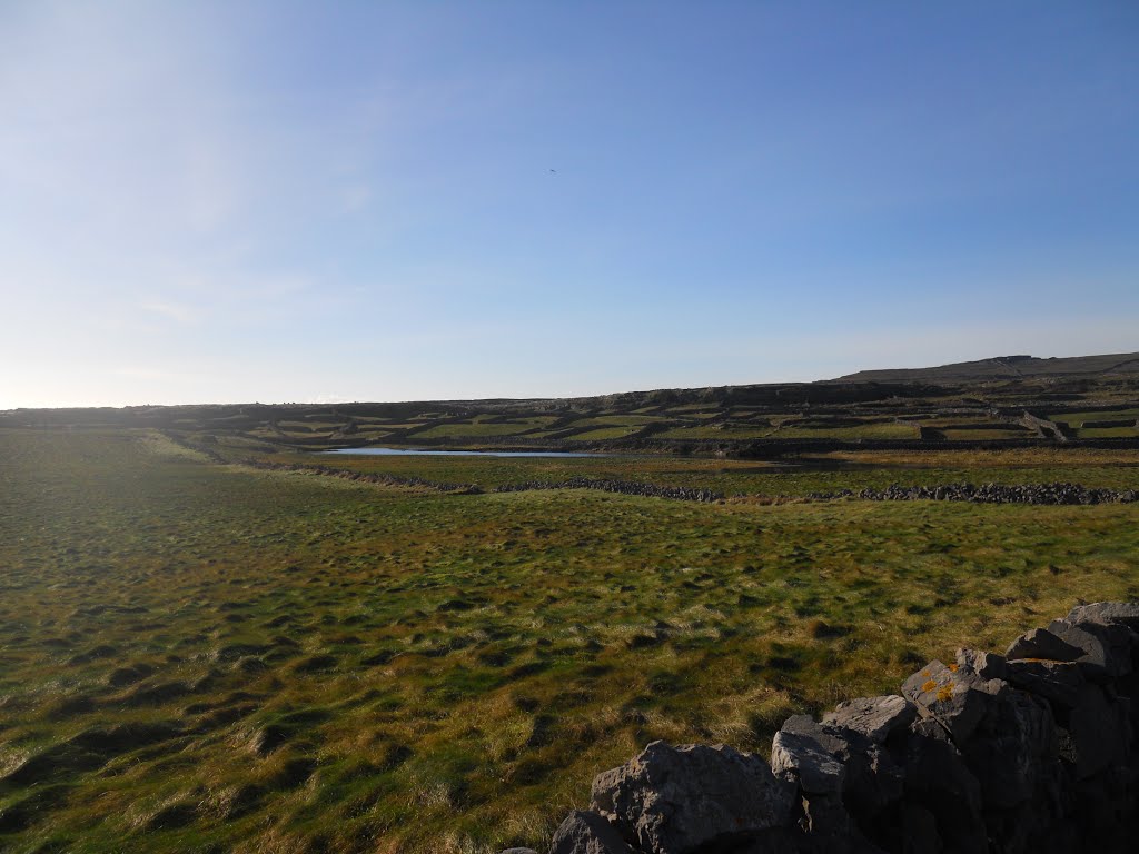 Aran Island by Lexander