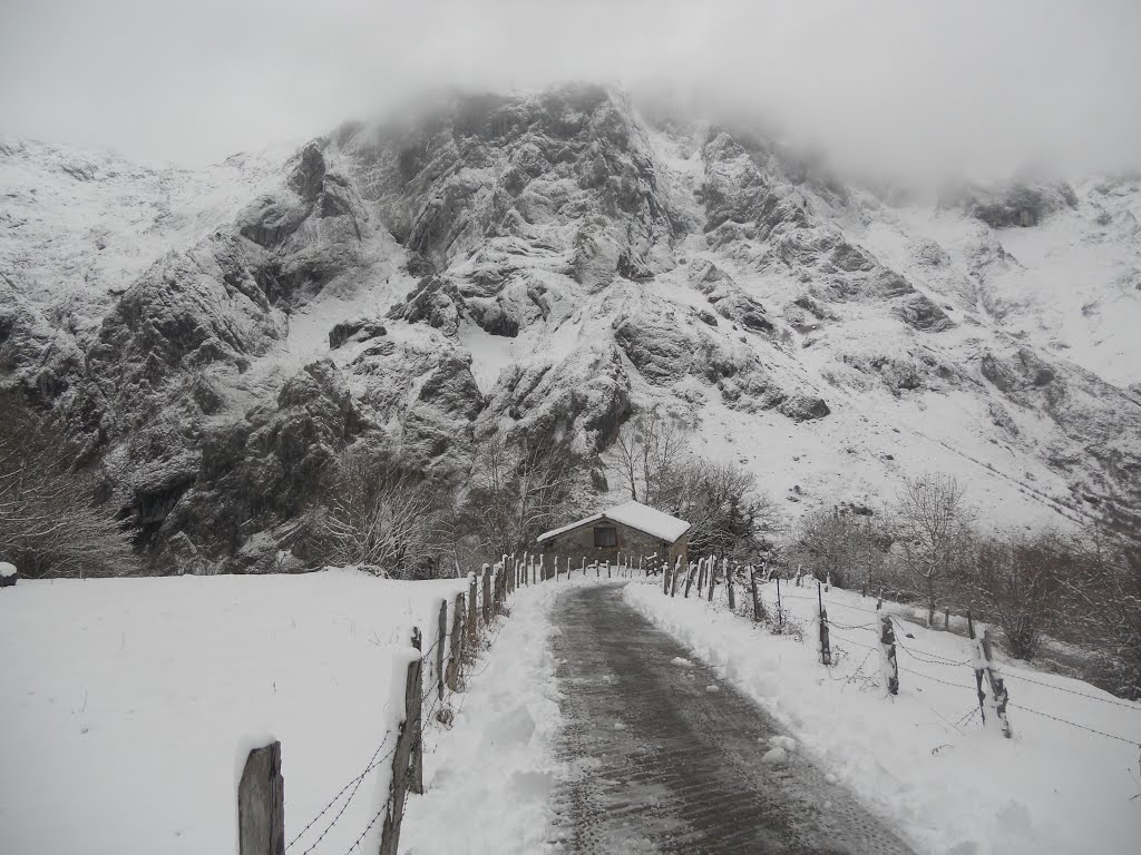 El Valle de Angón , Amieva .Picos de Europa . by McBodes