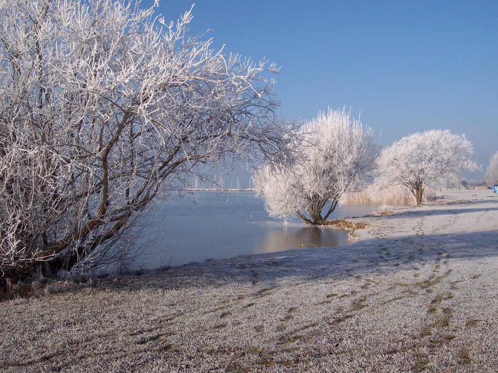 Lac de la madine en Hiver by armandb