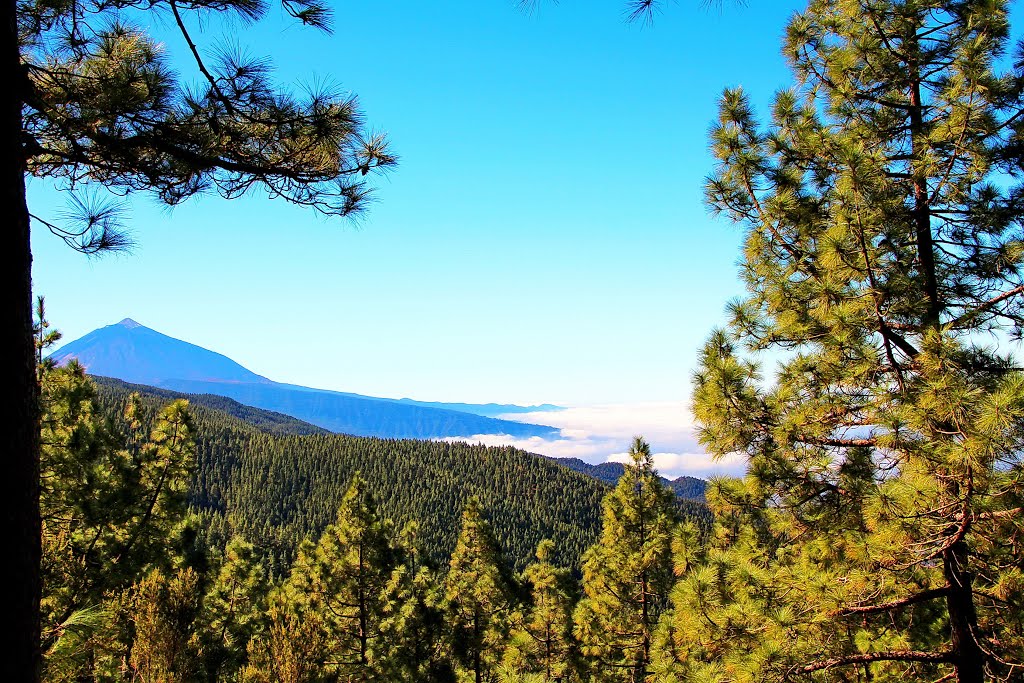 Pico del Teide by H. A.