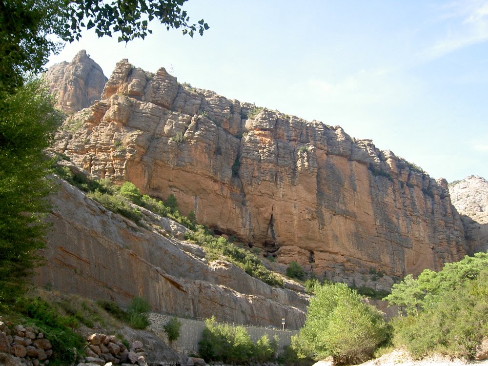 Congost de Collegats - Una imponente barriera rocciosa, spalla destra della gola - le rocce sono ricoperte da uno strato opaco, quasi gelatinoso by Attilio Zinelli