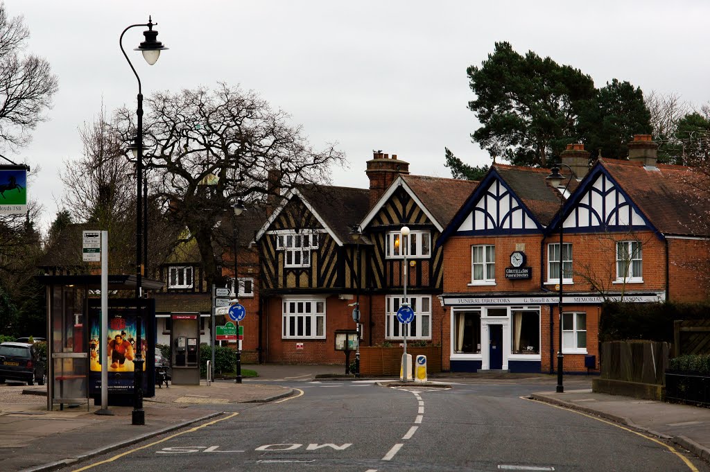 Byfleet, West Byfleet, Surrey by arunasst