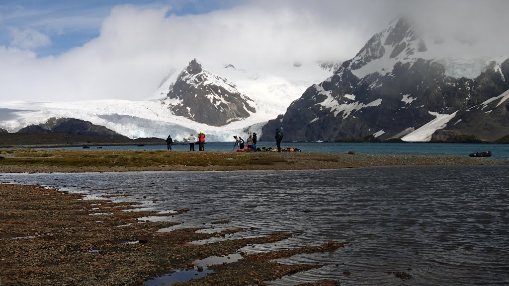 King Haakon Bay, January 2013 by Edward Rooks